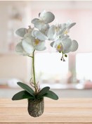Resim Nettenevime Kütük Saksılı Tekdal Islak Orkide Yapay Çiçek Beyaz 50 x 30 CM 