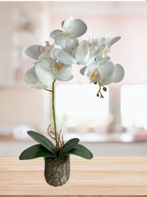Resim Nettenevime Kütük Saksılı Tekdal Islak Orkide Yapay Çiçek Beyaz 50 x 30 CM 
