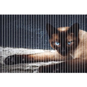 Resim Baskılı Perde Dikey Perde Kumaş Stor Perde Kedi 