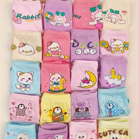 Resim 12'li Paket Rastgele Desenli Kız Çocuk İç Çamaşırı, Sevimli Kedi ve Penguen Tasarımı, Tüm Mevsimler İçin Uygun Rahat Külotlar 
