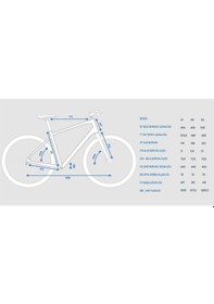 Resim Bianchi T0011x3 Şehir Bisikleti 30v Siyah/bej M/50cm Siyah 