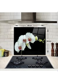 Resim Decorita Cam Ocak Arkası Koruyucu | Zarif Orkide | 52cm x 60cm 