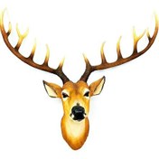 Resim Dekoratif Geyik Başı Duvar Biblosu 