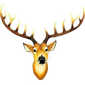 Resim Dekoratif Geyik Başı Duvar Biblosu 