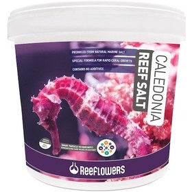 Resim Reeflowers Caledonia Reef Salt 22.5 Kg - Deniz Tuz 