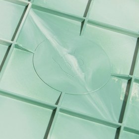 Resim Mint Kedi Tırmalama - Zee.Cat 