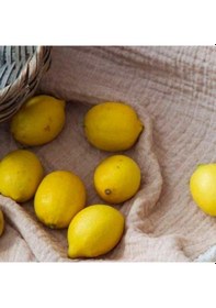 Resim Apricitas Home Muslin Çift Kişilik Yatak Örtülü Nevresim Takımı June Bej 