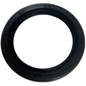 Resim Krank Keçesi Sol Modenas 