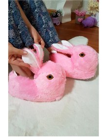 Resim Armis Figürlü Taba Peluş Panduf Ev Pandufu Unisex 