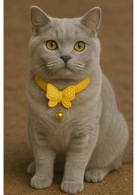 Resim Mıt Kedi Boyun Tasması Kelebekli Sarı 