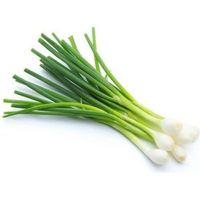 Resim Yeşil Soğan Tohumu 5 GR Paket 
