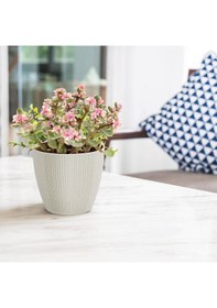 Resim Serinova Sümela Örgü Desenli Saksı 2.5 Lt 30678833 
