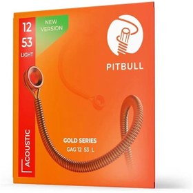 Resim AyrStore Strings Gold Series GAG L PB Light Takım Tel - Yeni Seri Akustik Gitar Teli 012-053 
