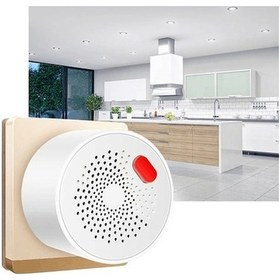 Resim Trendooze Tuya Wi-fi Gaz Dedektörü: Metan, Propan, Lpg, Lng, Akıllı Ev Ve Seyahat Güvencesi 