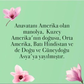 Resim Eyüp Sabri Tuncer Manolya Çiçeği El ve Vücut Peeling 400 ML + El ve Vücut Kremi 50 ML + Kolonya Pet Şişe 400 ML + Sprey Kolonya 150 ML 