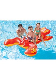 Resim Intex Istakoz Binici 213x137 Cm Çok Renkli 