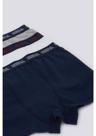 Resim U.S. Polo Assn. U.s Polo Erkek Çocuk Boxer 3'lü Takım Mavi 