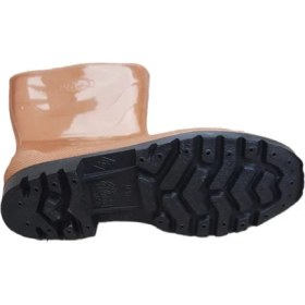 Resim Arısan Uzun Çizme 