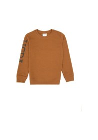 Resim U.S. Polo Assn. Erkek Çocuk Camel Bisiklet Yaka Basic Sweatshirt 50313831-VR233 