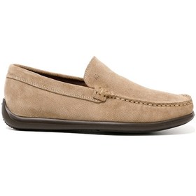 Resim Oxford Klasik Erkek 14h4 Frau Castoropunz Avena Beige Çok Renkli 