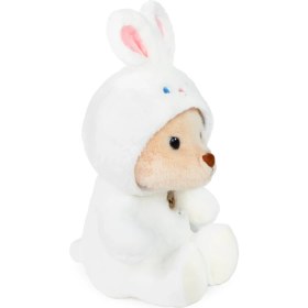 Resim Kapşonlu Pufi Ayıcık 