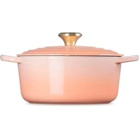 Resim Dökme Demir Yuvarlak Güveç Pêche, 24CM 