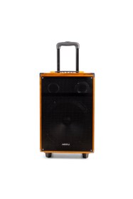 Resim HEPU HP-904 Taşınabilir Ahşap Bluetooth Hoparlör 40 w rms 12 inc Woofer Kablosuz Karaoke Mikrofon 
