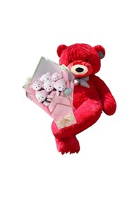 Resim Sevimli 90 Cm Peluş Ayı İle Pembe Konsept Romantik Peluş Ayıcık Buketi Kırmızı 