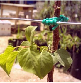 Resim Plastik Özel Üretim Fidan Bağlama Ipi 10 Fidan Için 