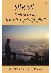 Resim Şiir Mi..."bilmem Ki, İçimden Geldiği Gibi" / Mustafa Uludağ 