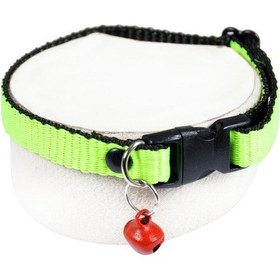 Resim Neon Zilli Kedi Tasması Fıstık Yeşili 