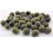 Resim Lokman Aktar Bamya Tohumu 1 KG 