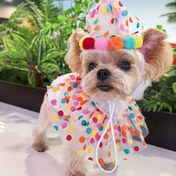 Resim İki parçalı set, mükemmel parti ve günlük kullanım için şık ve renkli bir polyester şal boyunluk, çizgi film tarzı, tüm ırklar ve boyutlarda köpekler ve kediler için uygun. Fotoğraf aksesuarları olarak da kullanılabilir. Bu set, petinizle ömür boyu bağ kurmanızı diler. 