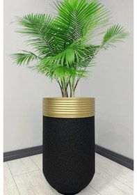 Resim Elegant Dekoratif Eskitme Darbuka Siyah Saksı 70cm 