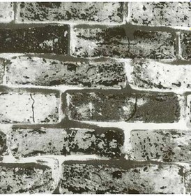 Resim Ankawall Vision Duvar Kağıdı 2409-2 16.5m2 