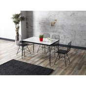 Resim Ressa Home Beyaz Görünümlü Metal Ayaklı Mutfak Masası Takımı 120x80 