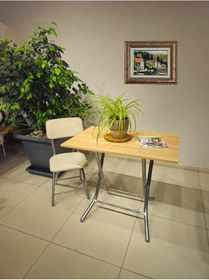Resim Katlanır Metal Ayaklı Siyah Sandalye - Foldable Metal Legs Chair 