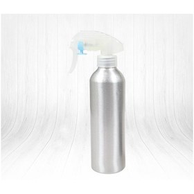 Resim Trina Gri Metal Suluk TRNSACAK0004 