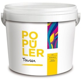 Resim Popüler Su Bazlı Mat Plastik Tavan Boyası Mat Beyaz 3.5 Kg 