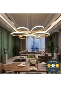 Resim Levent Papatya 3 Renkli Plafonyer Model Gold Kasa Ledli Modern Aydınlatmalı 60 Cm Ledli Avize Eskitme 