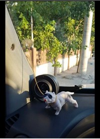 Resim Nayino Araç içi Torpido Üzeri Pitpul Köpek 
