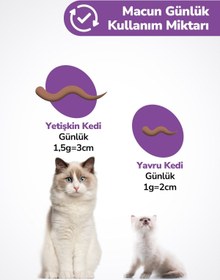 Resim Sterilised Malt - Kısırlaştırılmış Kedilere Özel Multivitaminli Malt Macun - Sterile Kısır Kedi Maltı 100 Gr 