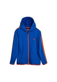 Resim Bad Bear Darrel Full-zip Saks Mavisi Çocuk Kapüşonlu Sweatshirt Parlement Mavisi Saks Mavi 