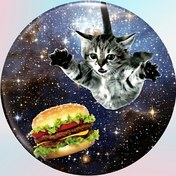 Resim Kedi baskılı Hamburg aşığı güvenlik pimi rozeti/ broşu, giysi ve çantalar için uygun, arkadaşlar ve aile için eğlenceli hediye 