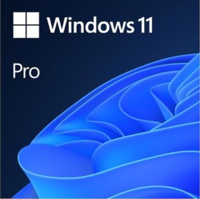 Resim Windows 11 Pro İngilizce Oem (64 Bit) FQC-10528 