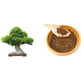Resim Bonsai Toprağı 20 Lt 