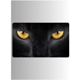 Resim Cg Far Filmi Kedi Model 