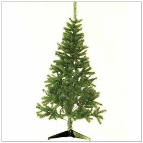 Resim 180Cm Yılbaşı Uzun Geniş Ayaklı Sıkı Yapraklı Yeşil Gür Çam Ağacı 