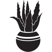 Resim Saksı Çiçeği Kaktüs (Oto-Motor-Laptop-Duvar-Dekor) (Tip 3) 30 x 48 cm 