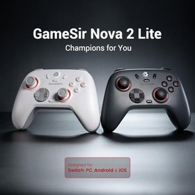 Resim GameSir Nova 2 Lite kablosuz kontrol cihazı, Hall efektli Joysticks & Triggers, 2.4G & Wired 1000 Hz polling rate, makro back butonları, PC GamePad PC/Switch/Steam/iOS/Android ile uyumlu (gri) 